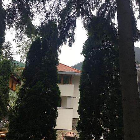 Manyi Villa 바일레 투슈나드 외부 사진