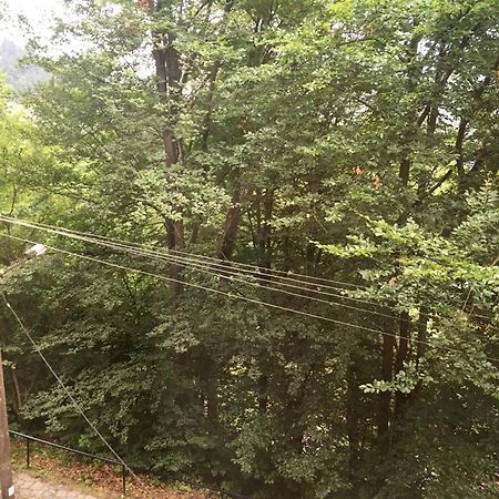 Manyi Villa 바일레 투슈나드 외부 사진