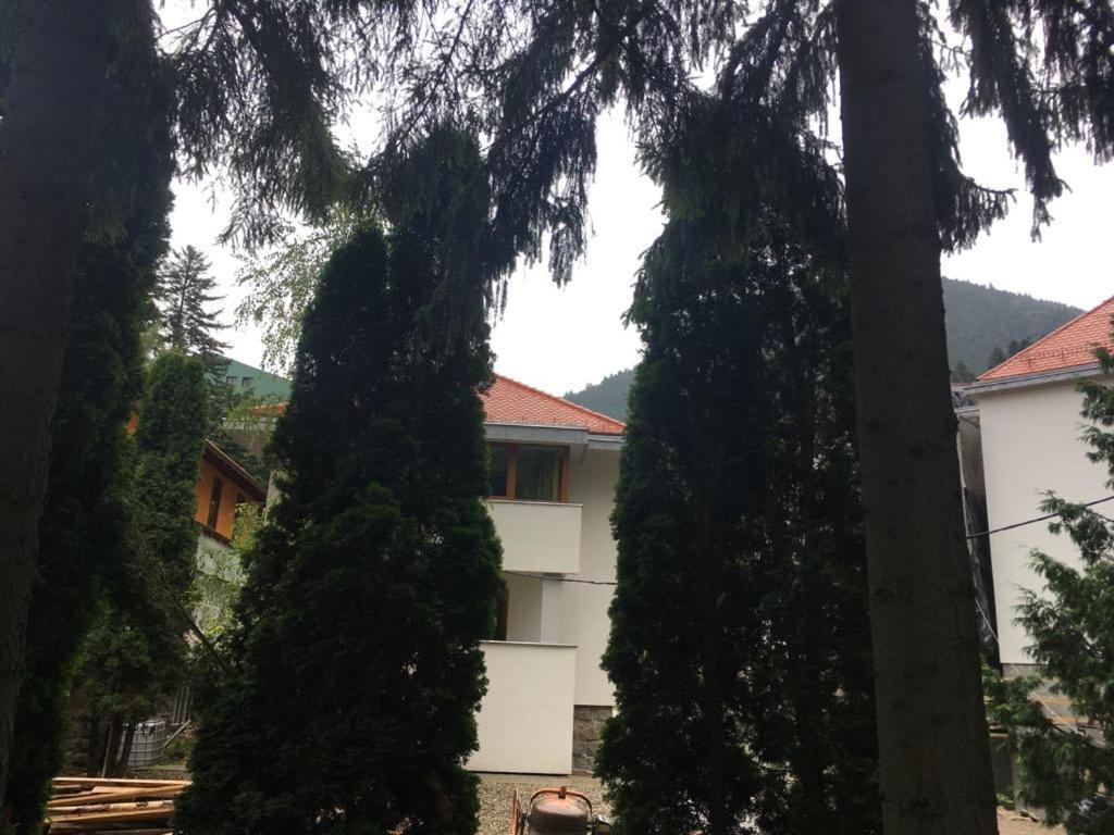 Manyi Villa 바일레 투슈나드 외부 사진